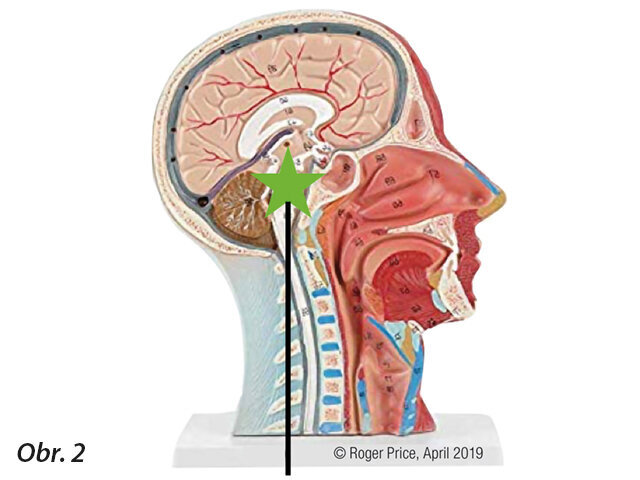 Funkční dýchání v klidu  Neexistuje nic takového, jako normální dýchání. Dýchání je přímo spojeno s aktivitou, výživou, stresem a dalšími vnějšími faktory. Chemická regulační osa vyžaduje neustálé monitorování a okamžitě reaguje na jakoukoliv nerovnováhu pH.  Existuje však definice funkčního dýchání v klidu, ta je následující:  • Nádech a výdech nosem  • Iniciace bránicí, nikoli hrudníkem  • 8–12 dechů za minutu  • Minutový objem 5–6 litrů  • Tiché  Za těchto podmínek bude dosažen optimální alveolární tlak CO² okolo 40 mm Hg.