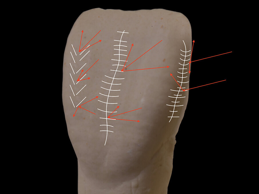 Fig. 1 - Direzione del fascio luminoso dei fenomeni di rifrazione e riflessione.