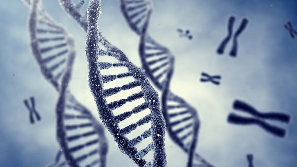 Teste genético para periodontite é premiado em encontro da ADA