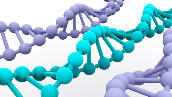 Gene combination identified as risk factor in success of dental implants