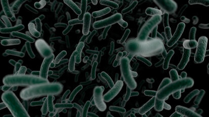 Una sostanza anticarie per sconfiggere definitivamente lo Streptococco mutans