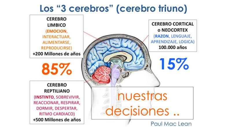 El fantástico cerebro triuno