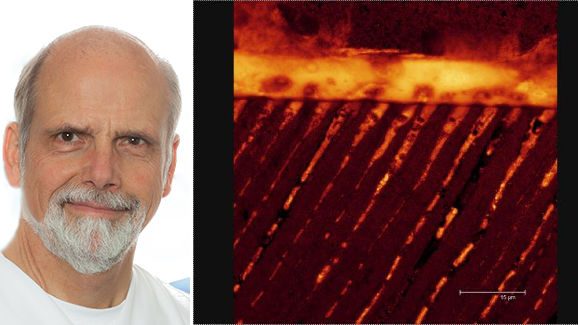 Universaladhäsive: DTSC Webinar klärt auf