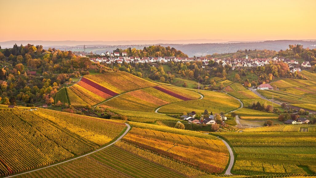 Dentsply Sirona Implants and more