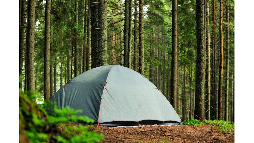 Column Erik Ranzijn: Koepeltentje