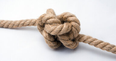 IG Phytotherapie und SVKH bündeln Kräfte