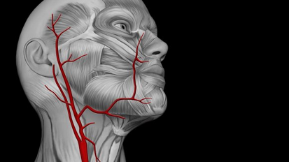 La salute delle gengive influenza lo stato delle arterie