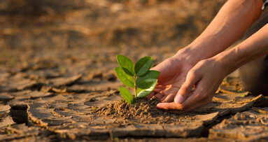 Oral health management in times of climate change crisis