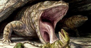 Ancient amphibians had mouthful of teeth, research shows