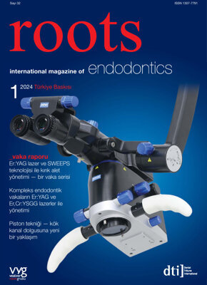 roots Turkey No. 1, 2024