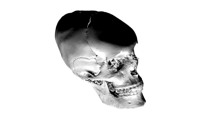 Fig. 5. Cráneo virtual modificado para que tenga una forma general ovalada similar a los cánones de la belleza mayas.
