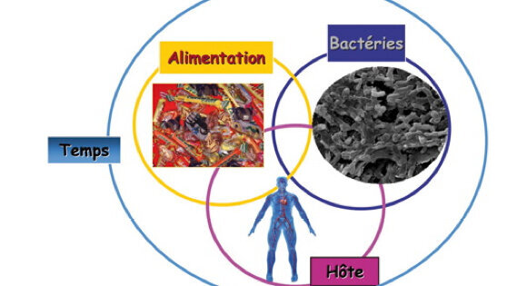 Savoir dépister et prévenir mauvaise alimentation et troubles du comportement alimentaire