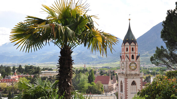 18. Frühjahrs-Seminar der Tiroler Zahnärzte