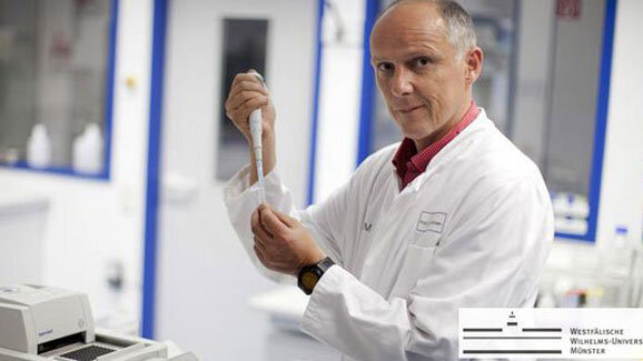 Parodontitis wird nicht von einzelnen Bakterienarten ausgelöst