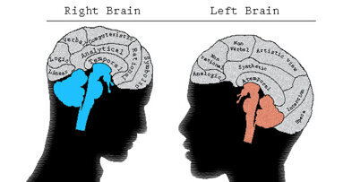 Esthetics and the brain