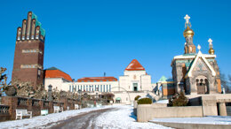 exocad Insights 2020