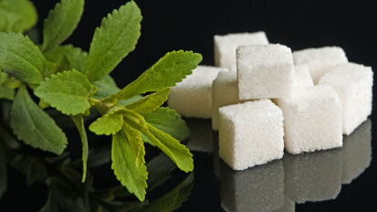 Stevia könnte als Nahrungsmittel zugelassen werden Stevia könnte als Nahrungsmittel zugelassen werden