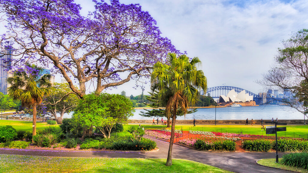 ICOI World Congress 2020