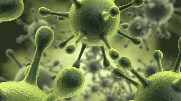 Zahnanalyse: Forscher entschlüsseln Pestvirus