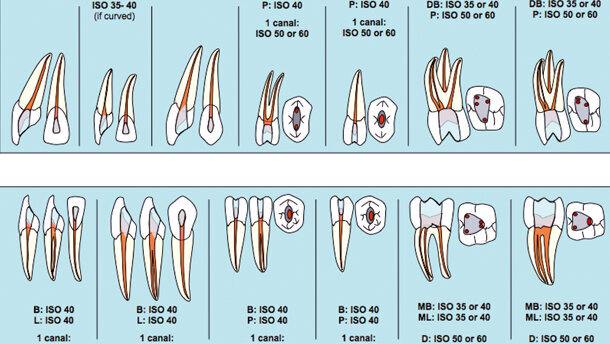 BioRaCe—Efficient, safe and biological based sequence files