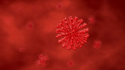 Your T-cells are recognizing Omicron