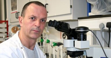 Les résultats d’une recherche pourraient aider les médecins légistes et les anthropologues