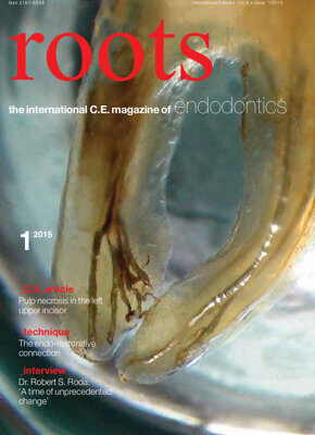 roots C.E. No. 1, 2015 roots C.E. No. 1, 2015