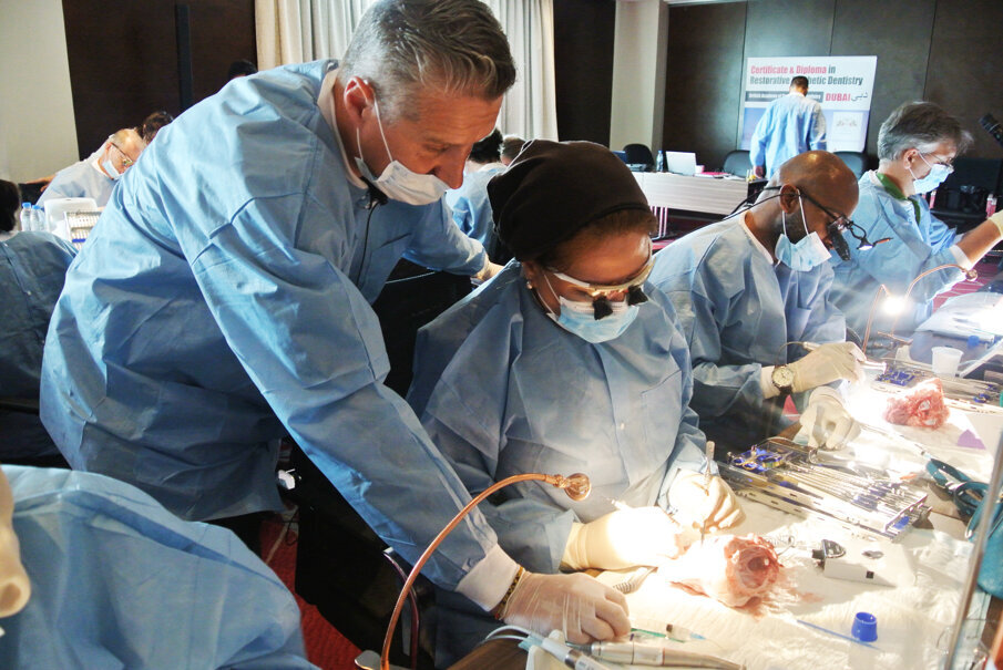 Prof. James Prichard guiding a delegate during the micro surgical retreatent on a sheep head