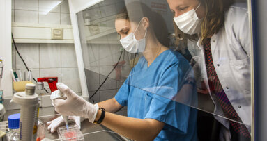 Knochenregeneration, die der echten Physiologie des Knochens nahe kommt