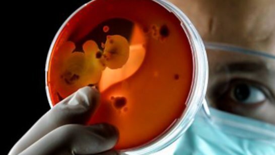 Streptococco, i consigli degli esperti