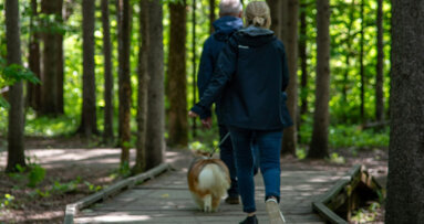 Ordens da Saúde apresentam propostas para promoção do envelhecimento saudável