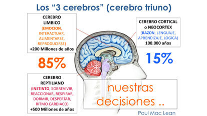 El fantástico cerebro triuno