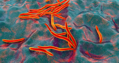 Study links oral bacterium to breast cancer initiation and progression