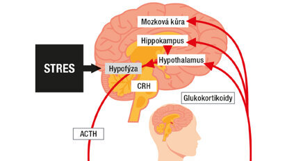 Stres – přítel nebo nepřítel?