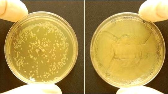 Erfolg eines Ozon- Generators bestätigt
