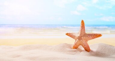 Buone vacanze da Dental Tribune e Tueor Servizi