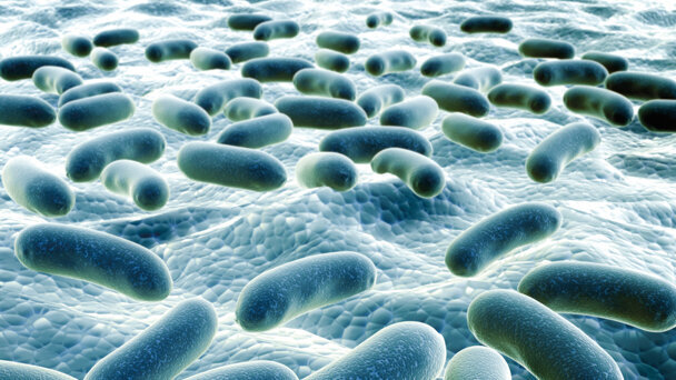 Artrite reumatoide e patologia parodontale: una via in comune?