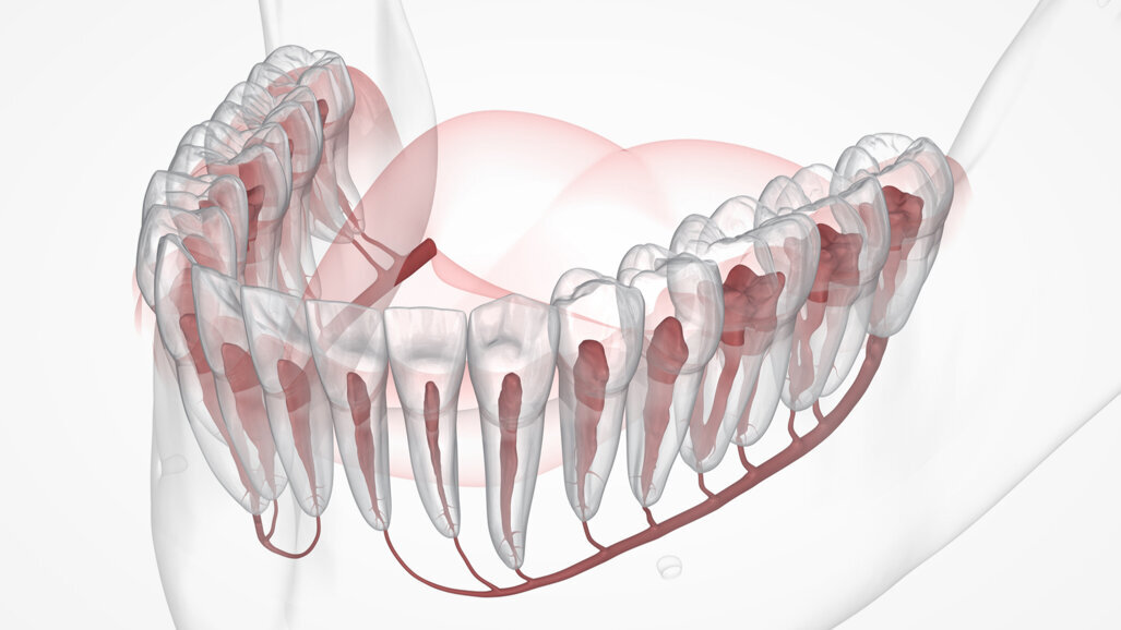 Envista’s newest FDA approval complements other AI-powered features in DTX Studio Clinic