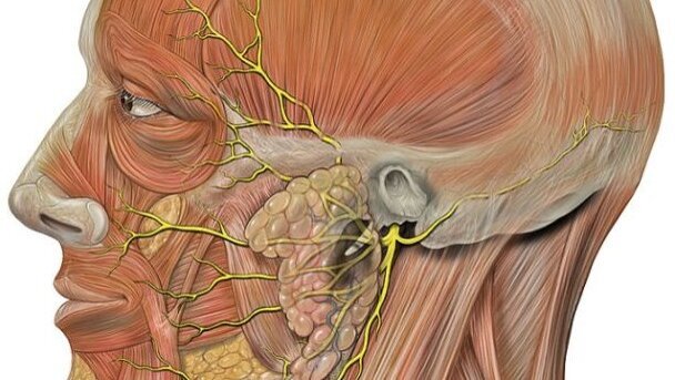 Tandheelkundige apparaten bieden hoop op gezichtsherstel