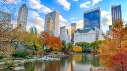 AAID Annual Conference 2021