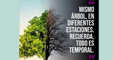 ¿Ansiedad en los odontólogos? “¡No, qué va!”
