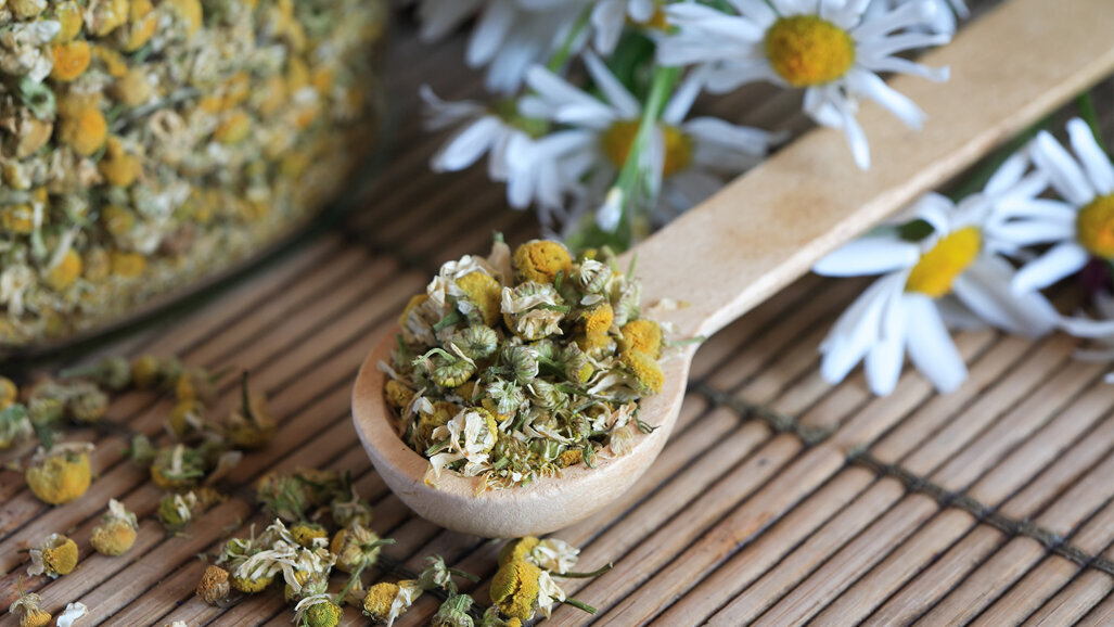 Kamille und Fluorid bilden ein starkes Duo gegen Karies und Mineralverlust