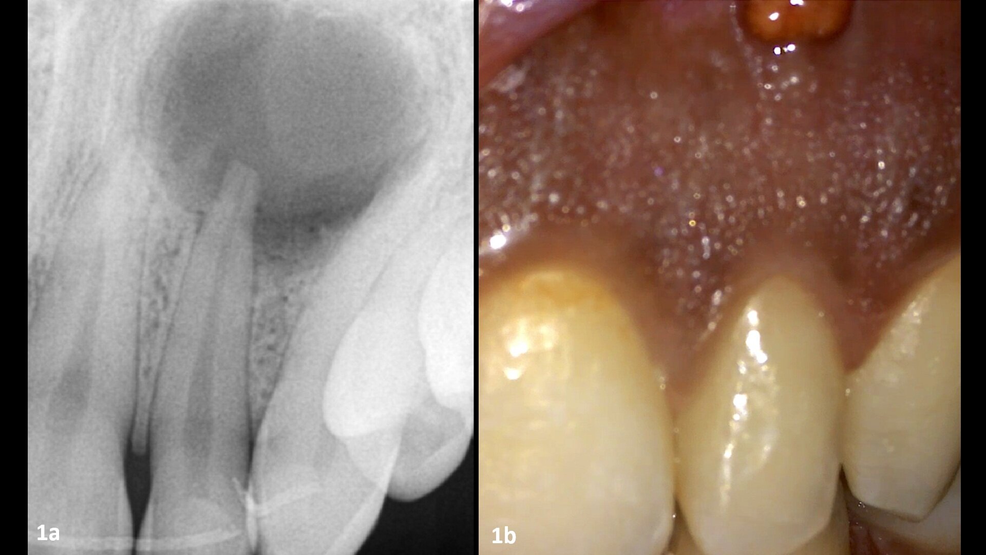 One system, different motions for daily challenges