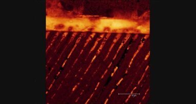 Fortbildung: Aktuelle Entwicklungen auf dem Adhäsivmarkt im Fokus
