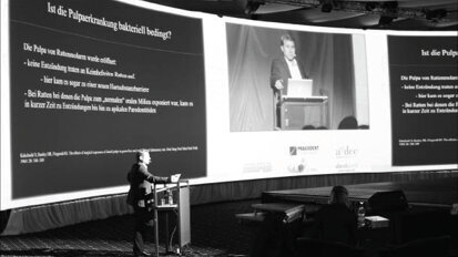 Dental Summit 2012