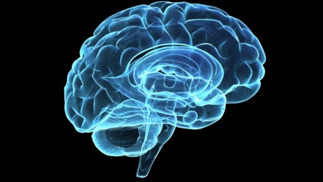 Ο υδράργυρος έχει σχέση με τη νόσο Αλτσχάιμερ σύμφωνα με πρόσφατα δεδομένα