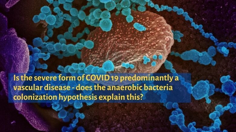Severe form of COVID 19: Mainly a vascular disease? Can 'Anaerobic Bacteria Hypothesis' explain it?