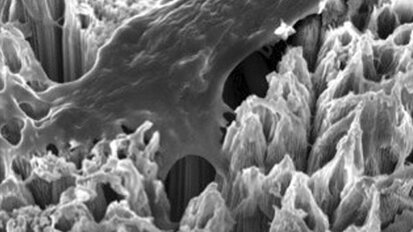 Fabriqué à partir de nanotubes