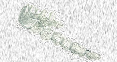 Un debate para evitar lo que ocurrió con la amalgama