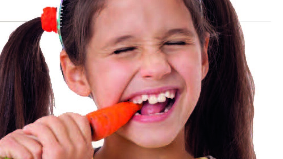 Η σύγκλειση και η μάσηση διεγείρουν την ανάπτυξη των δοντιών